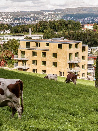 Neubau MCS gerechtes Wohnhaus Zürich