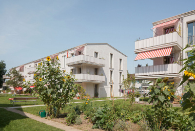 Neubau MFH Zwinglistrasse Winterthur